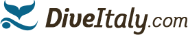 diveitaly.com logo